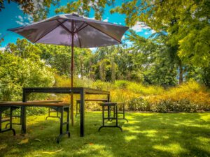 Garden furniture in shadow of backyard